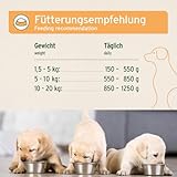 AniForte Hundefutter Nass Junior Huhn 6 x 400g – Natürliches Nassfutter für Welpen & Junghunde, hoher Fleischanteil, Premium Welpennassfutter getreidefrei