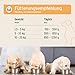 AniForte Hundefutter Nass Junior Huhn 6 x 400g – Natürliches Nassfutter für Welpen & Junghunde, hoher Fleischanteil, Premium Welpennassfutter getreidefrei