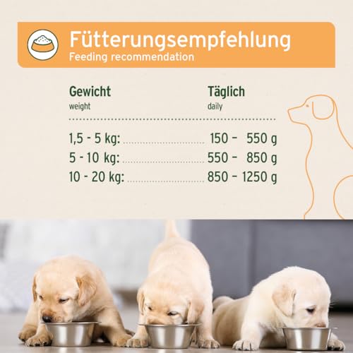 AniForte Hundefutter Nass Junior Huhn 6 x 400g – Natürliches Nassfutter für Welpen & Junghunde, hoher Fleischanteil, Premium Welpennassfutter getreidefrei