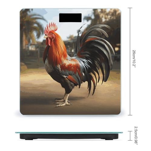 Báscula Digital de Baño FekiLoot con Plataforma Ancha y LCD miniatura 2