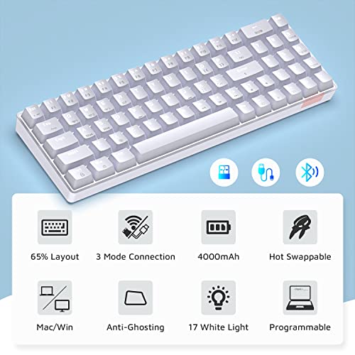 Image of LexonElec 60% Wireless Mechanical Gaming Keyboard, 2.4G /Bluetooth /Wired 69-Key Compact Keyboard with Numpad, Hot Swappable Red Switch White Backlit Programmable for Win /Mac (White)