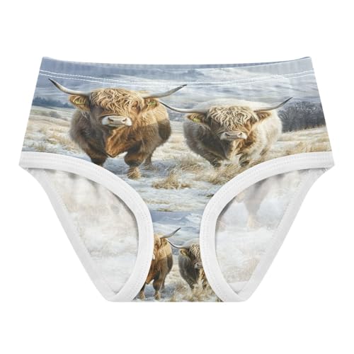 Two Highland Cows Winter Snow Toddler Girls's Underwear 2T 202b8619