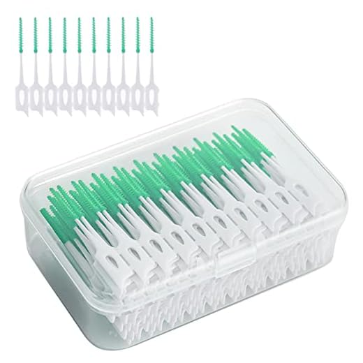 ILantule Cepillos Interdental 200 Piezas,Palillo de Dientes,Hilo Dental de Doble Uso,Cepillo de Dientes Reutilizable para Dentaduras Postizas,para la Limpieza Dental