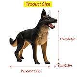 Zoom IMG-2 modello di assemblea anatomica del