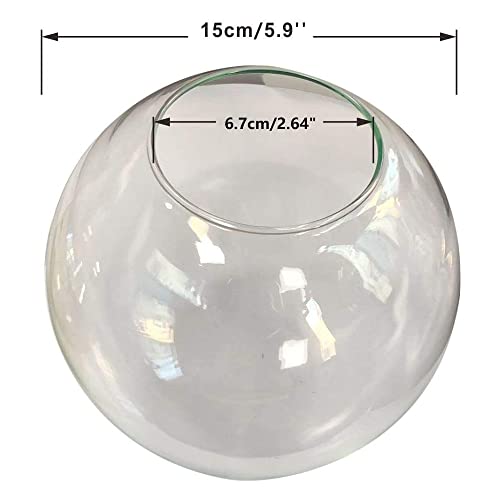 Image of BOKT Clear Glass Globe Lamp Shade Bubble Glass Lampshade Cover Transparent Glass Ball Sphere Replacement for Light Fixtures 5.9 inch Diameter (Clear)
