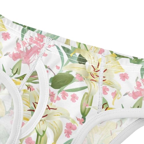 Lilies Delicate Pink Blossoms Toddler Boy's Underwear 2T 202c14564