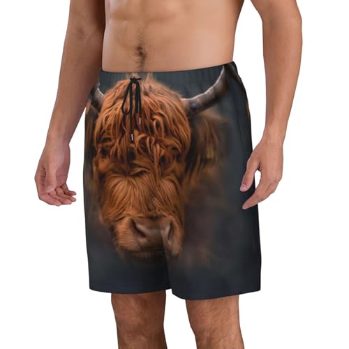 Men's Beach Shorts Highland Cow Mens Swim Trunks Board Shorts with Pockets Swimwear Bathing Suits2
