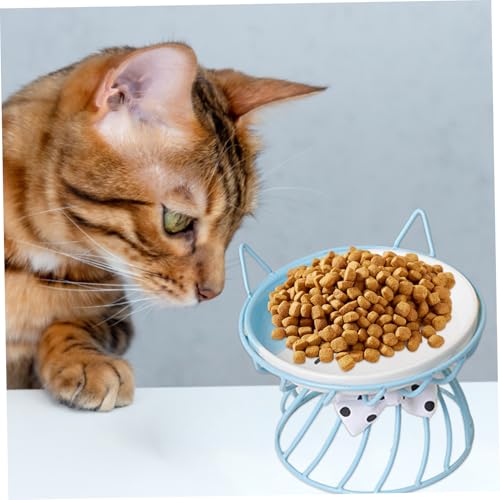Bol en céramique pour chat bleu avec support surélevé pour nourriture