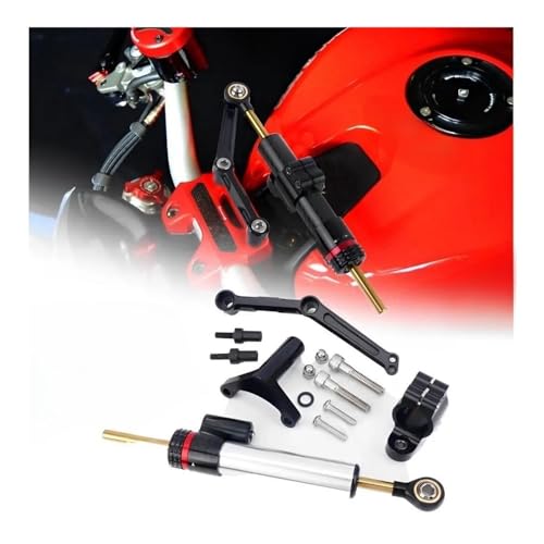 Support amortisseur de stabilisation direction pour sécuriser le pilotage sur Monster 1200 - 4