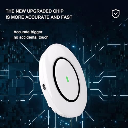 Détail du collier SHRGOMPIT sur le cou d'un chien