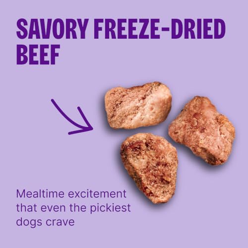 Image of Wellness CORE+ Adult Dry Dog Food with Freeze Dried Pieces, Wholesome Grain Kibble+, Natural, High Protein, Beef and Barley Recipe, 4 lb Bag