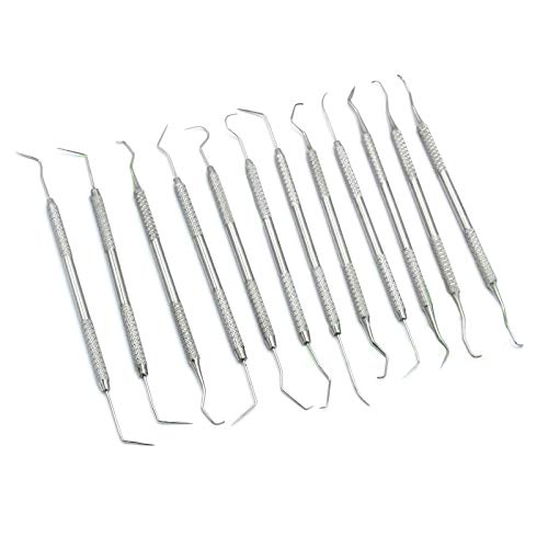 Ddp 613951018859 12 Piece Dental Probe Pick Tool Instrument Set Stainless Steel Scaler Pr-296 cover