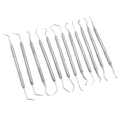 DDP 12 Piece Dental Probe Pick Tool Instrument Set Stainless Steel Scaler PR-296