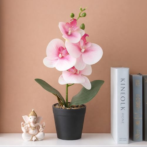 Image of Habere India-All the Cultures Fabricating India Pink Moth Orchid Artificial Plant with Pot for Home Decor | Small Fake Flower Plants for Living Room & Indoor Decoration (Design01: L9 x W9 x H31 cm)
