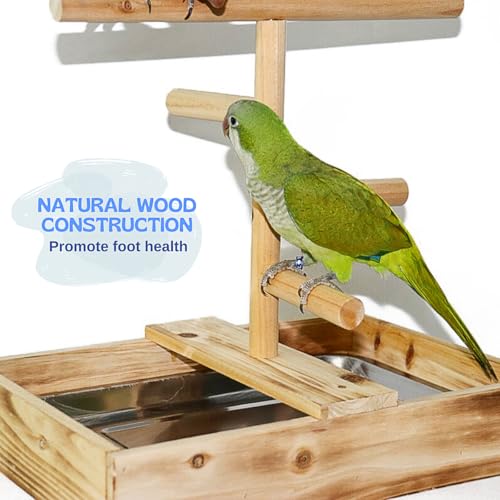 Image of Bird Perch Stand with Removable Tray, Natural Wood Parrot Playground, Tree Perch Platform Play Gym for Cockatiel Budgie Parakeet Conure