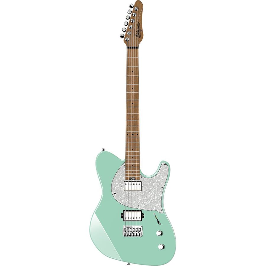 Amazon.co.jp: Balaguer Guitars Thicket Standard, Gloss Pastel