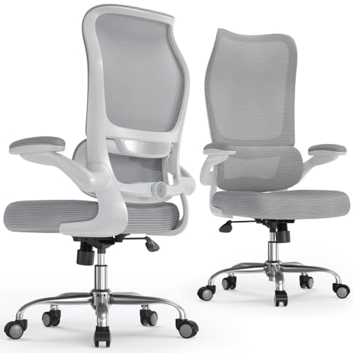Image of TRALT Office Chair Ergonomic Desk Chair - Gaming Chair with Lumbar Support | 330 LBS Home Office Desk Chairs , Reading Chair with Flip-up Armrests, Comfortable Computer Chairs (1, Grey)