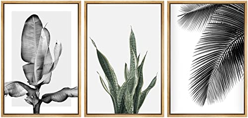 Signwin Framed Canvas Print Wall Art Trio Of Jungle Palms & Snake Succulents Floral Plants Photography Modern Art Minimalist Black And White For Living Room, Bedroom, Office - 16"X24"X3 Natural #TOP25