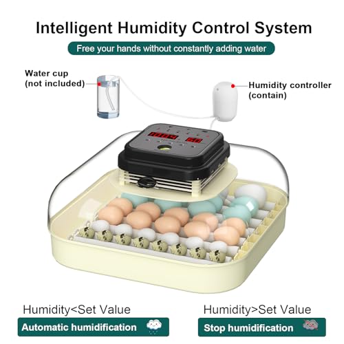 CoInceptus 35 Egg Incubator with Automatic Egg Turning and Humidity Control, Incubator for Chicken Eggs, Quail, Duck Eggs, with Egg Candler