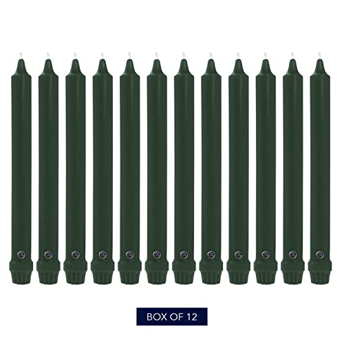 Image of Colonial Candle Unscented Taper Candle, Classic Collection, Evergreen, 12 in, Pack of 12 - Up to 10 Hours Burn