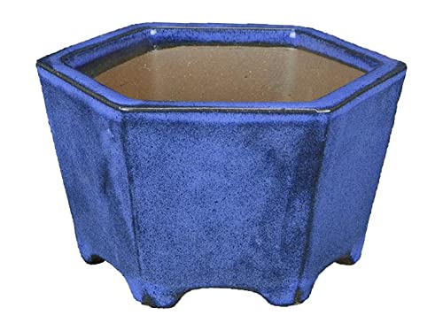 Maceta bonsai hexagonal de gres esmaltado azul 12x12x7,5 cm - YP45