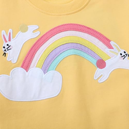 DDSOL Toddler Girls Sweatshirt Cotton Sweater Long Sleeve Shirt Little Kids Pullover Tops 2-7 Years4