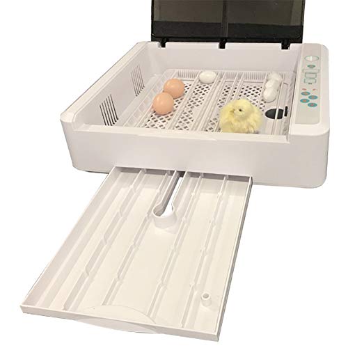 ZFF Automatic Incubators Hatching For Chickens Duck Goose Bird Quail Poultry Hatcher Temperature Control Pull-out Water Tray 36 Eggs