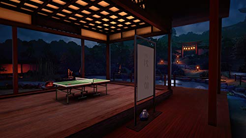 Vr Ping Pong Pro Ps4 - vue 7