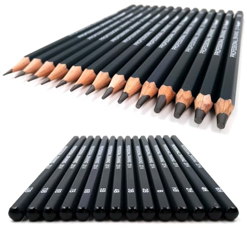 Diwimiki Conjunto de lápis de desenho profissional – 14 lápis de grafite para desenho (12B - HB), id