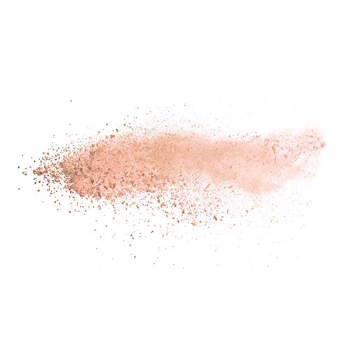 Isdin Mineral Brush Powder, Facial Pollution And Blue Light Protection, A Complement To Your Sun Care Routine, Suitable For Sensitive Skin #TOP5