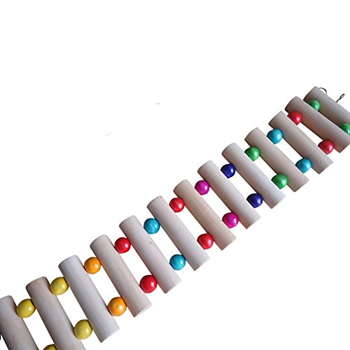 Scaletta di legno giocattolo per le gabbie di