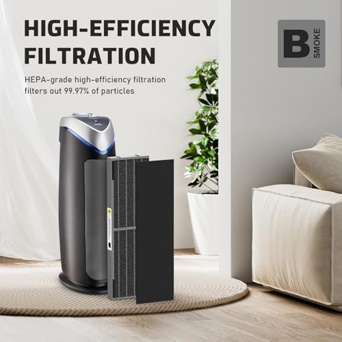 Filter B Smoke Clear HEPA Replacement Compatible with AC4825 AC4300 AC4800 AC4900 AC4850, 4 True HEPA Filters & 12 Activated Carbon Pre-Filters, FLT4825SM, Black/Gray