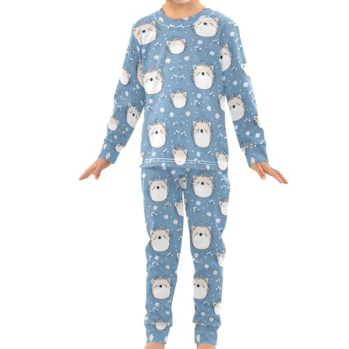 Pigsaly Pajama Set 2 Piece Cute Cartoon Hedgehogs Pajama Sets Long Sleeve Pjs Sleepwear 6Y3