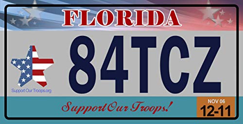 - Lot von 10 US-Metallkennzeichen – Nachbildungen echter amerikanischer Kennzeichen – V2