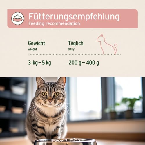 AniForte Fish & Chicken Nassfutter für Katzen 6 x 400 g – Natürliches Katzenfutter nass getreidefrei, viel frisches Lachs & Huhn, Katzennassfutter getreidefrei, Futter für Katzen, Wet cat Food