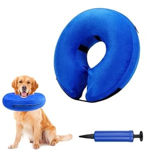 Lixiluxia Collarín Perro, Collare Inflable Morbido, Collar de Recuperación para Perros, Collar de Recuperación para Gato Perros para Mascotas Recuperación de Cirugía Prevenir Tocar Heridas(Azul L)