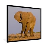 Anti-reflet : la face avant du cadre photo est en plexiglas qui reflète peu la lumière, ce qui met davantage votre photo en valeur.