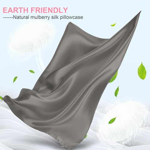 Mulberry Silk Pillow Cases 2 Pack Queen Size 20x30 Inches with Hidden Zipper, Ultra Smooth and Soft Breathable Cooling Silk Satin Pillowcase Set of 2, Better for Hair and Skin, Gifts for Women Men