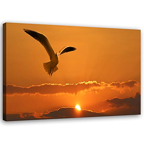 Feeby Cuadro de Pared XXL Puesta del Sol Impresión Lienzo Pájaro Naranja 120x80 cm Cover