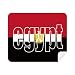 Egypt Country Flag Name Cleaning Cloth Screen Cleaner 2pcs Suede Fabric