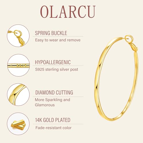 Silver/14K Gold Hoop Earrings for Women Classic Hoops Hypoallergenic Gift for Her2