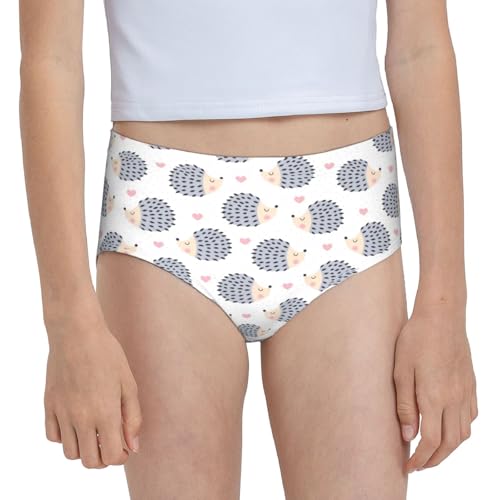 Cute Hedgehog Girls' Underwear Soft Cotton Little Girls Panties Comfort Briefs 6