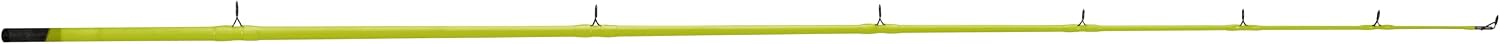 ProFISHiency 8' Medium Heavy Flash Casting Catfish Rod