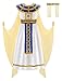 ReliBeauty Egyptian Costume Kids Girls Halloween Pharaoh Costume for Girls, 8/140