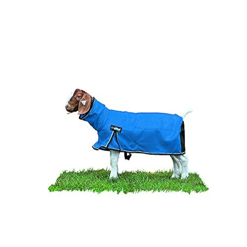 Weaver Leather Livestock ProCool Mesh Goat Blanket