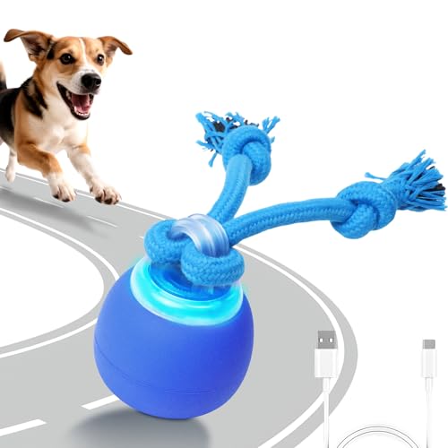 BENTOPAL Interactive Dog Toys Touch Activated Bouncing & Jumping Dog Ball with Rope, Squeaky Doggie Toys to Keep Them Busy