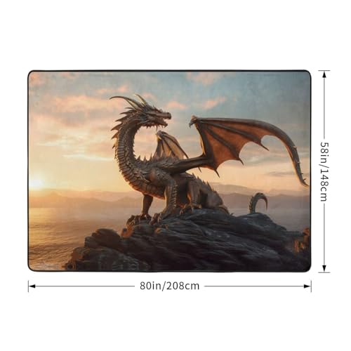 Tapis de salon lavable grand format motif dragon coucher de soleil ciel - 3