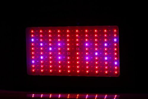 Greatlux® New 300w Hydroponic LED Grow Light Plant Grow Lights 100x3w Growing Lamp for Garden/ Greenhouse/indoor Growing in Full Spectrum Growing Combination