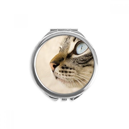 Miroir de poche à la main chaton bleu pour un regard parfait