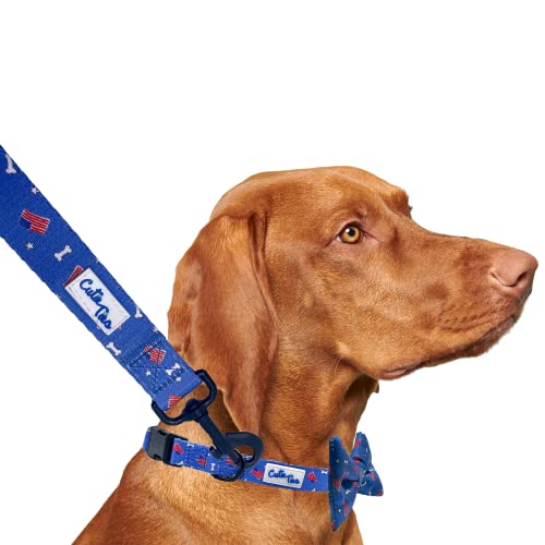CUTIE TIES Dog Leash USA Flags– Durable Nylon Material - Premium Quality Leash for Dogs - Fancy Leashes - Cute Dog Leash in Two Sizes - (USA Flags, Small (5/8' x 5'))